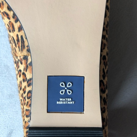 Caslon ~ Laurel Pointed Toe Water Resistant Flat ~ Women’s Size 10 - Picture 6 of 11